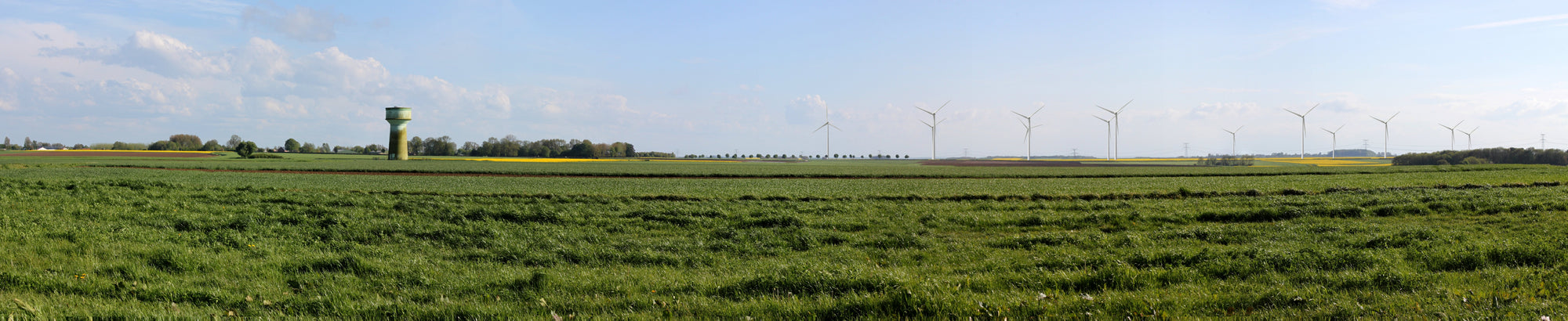 FUTURE ENERGY LA SOMME, projet éolien dans les Communes de Bernaville (80370), Fienvillers (80750) et Gorges (80370)